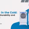 Coolers in the Cold: Exploring Durability and Insulation - Ramcoolers