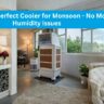 Set Up the Perfect Cooler for Monsoon - No More Humidity Issues - Ram Coolers